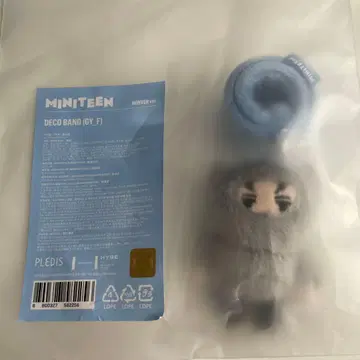 SEVENTEEN 발레 NEW 인천 서울콘 데코밴딩 버논