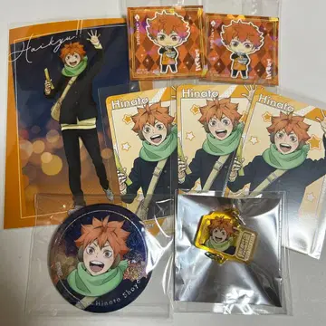 하이큐 코스모 월드 아크릴 참 비주얼 카드 캔뱃지 히나타