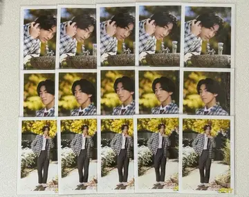 EBIDAN NAGOYA 하라 쇼아 브로마이드 15장 세트