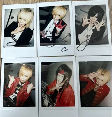 R 지정 마모 폴라로이드