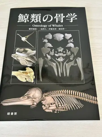 고래류의 골격학