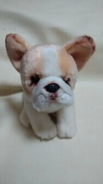 Natg JuIes 너트 & 쥬얼 DEMDACO사 초레어 코858