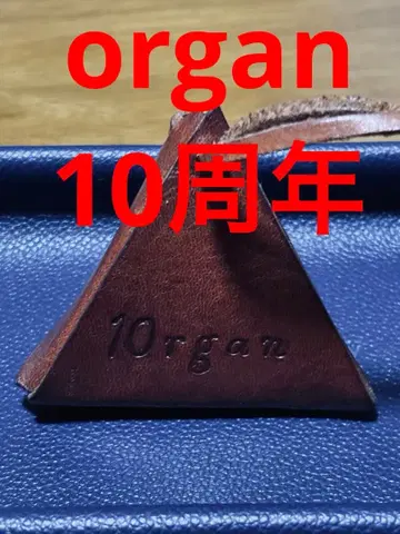 HELZ 오르간 10주년 가죽 박스 핀 배지