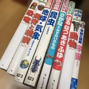 도감 소학관 NEO 학연 NATURA 모음