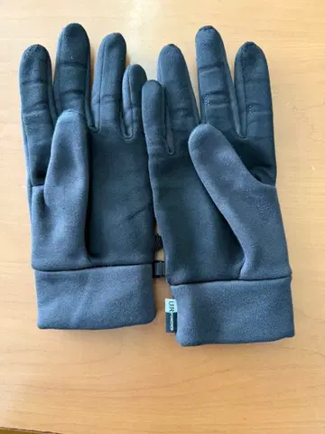 The North Face 그레이 장갑