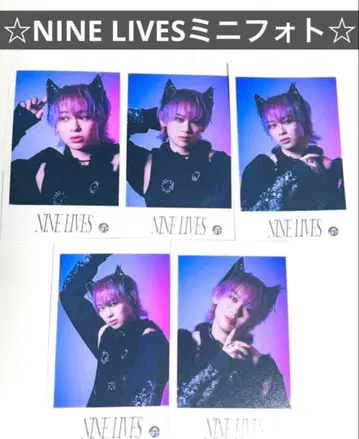 초특급 슈야 NINE LIVES 미니 사진 컴프 세트