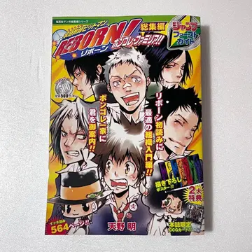 가정교사 히트맨 REBORN! 총집편 봉고레 패밀리아!! 아마노 아키라