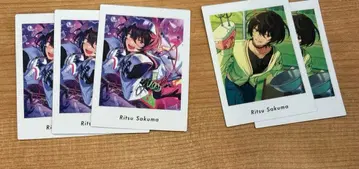 앙스타 파샤츠 리츠