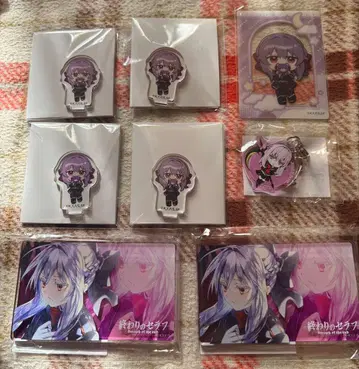 히이라기 시노아 묶음 판매 세트