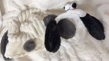 USJ 스누피 버킷햇 머리띠 세트