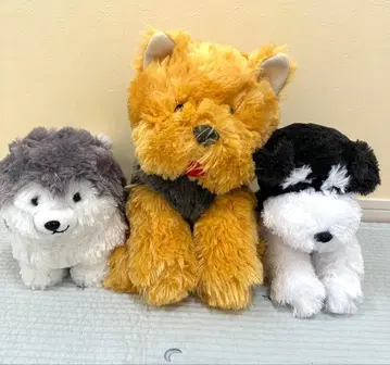 강아지 봉제 인형 3세트