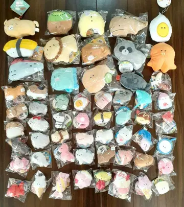 동그란 눈 시리즈 묶음 판매