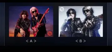 B'z FYOP 회장 한정 B2 포스터 AB 세트