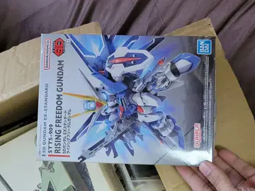 HG Rising Freedom Gundam