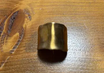 PLUIE  소우 헤어 귀걸이 M 샴페인