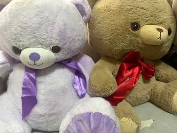 빅 사이즈 보라색과 브라운색 봉제 인형 ( 곰 )