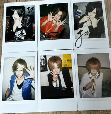 R 지정 마모 폴라로이드