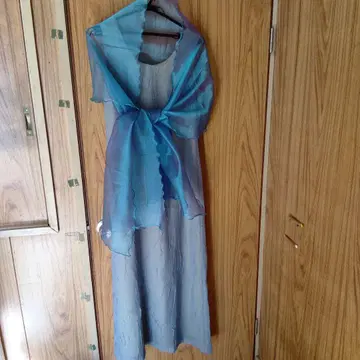 파란 쉬폰 슬리브리스 드레스