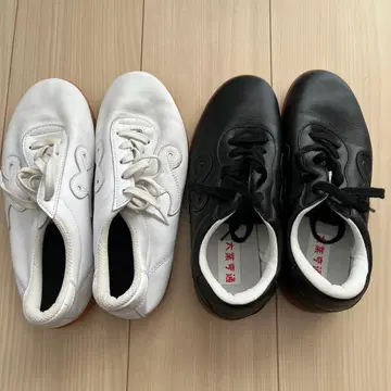 태극권 신발 화이트와 블랙