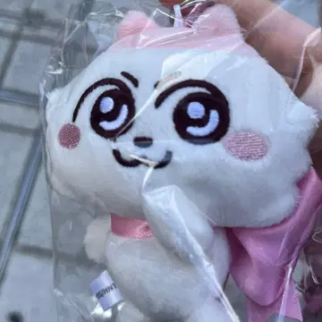 고양이 빅 리본 마스코트 화이트