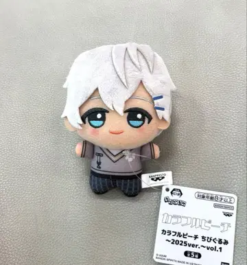 컬러풀 피치 SD 인형 2025ver 히로 모리 판타지