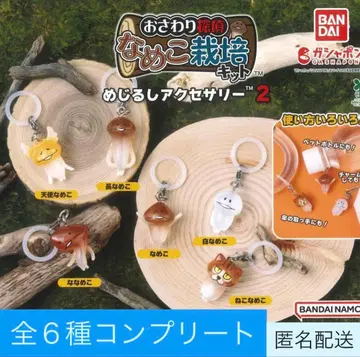나메코 재배 키트 메지루시 액세서리 2 전 6종 컴플리트 2