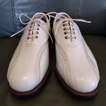 구하기 어려움 풋조이 클래식 드라이 프리미어 US7.5EEE 25.5cm