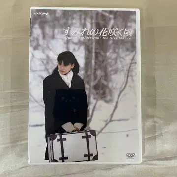 제비꽃 피는 시절