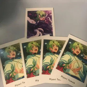 앙스타 파샤츠 히요리