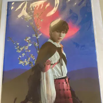 aoen 아오엔 GAKU 파일 2세트 포함