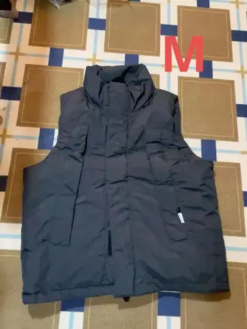 DAIWA PIER39 GORE-TEX INFINIUM 다운 베스트 M