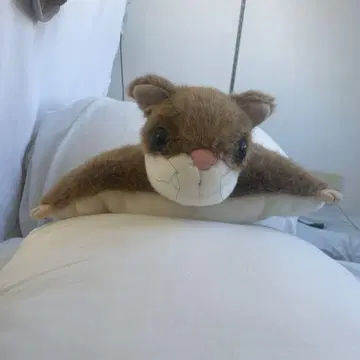 브라운 모몽가형 봉제 인형