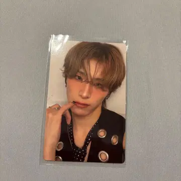 xlov i will 트레이딩 카드 하루