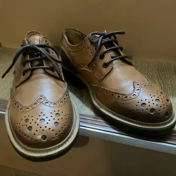 새상품급 잔카를로 모렐리 윙 칩 가죽 신발 24.5cm 졸업식 결혼식