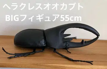 [ 헤라클레스 장수풍뎅이 ] BIG 피규어 55cm