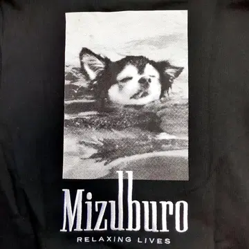 SAUVENIR MIZUBURO 맨투맨 사진 dog