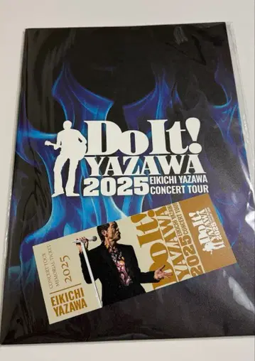 야자와 에이요시 Do It! YAZAWA 팜플렛