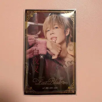 아호노 사카타 백야차 명함 홀로