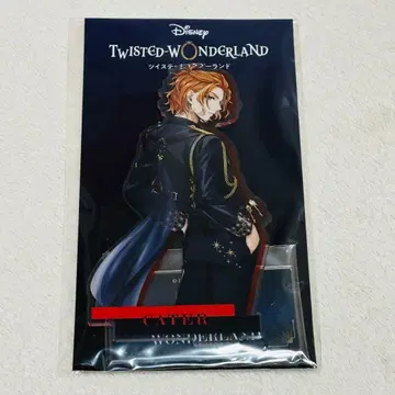 트위스테 브레이징 주얼 아크릴 스탠드 케이트