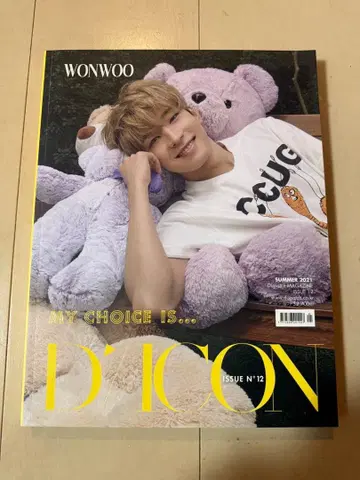 SEVENTEEN Dispatch 매거진 Dicon