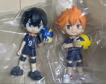 PalVerse 히나타 카게야마 세트