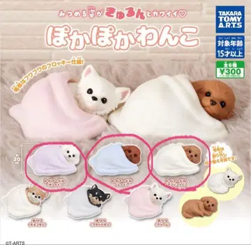 따뜻한 강아지 가챠가챠 토이 푸들 3종 세트