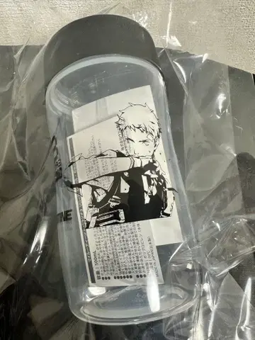 MY ROUTINE PERSONA3 RELOAD 보틀