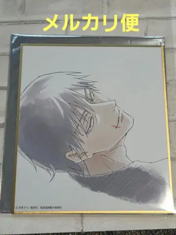 주술회전전 주술회전 회옥 옥절 블라인드 미니색지 후시구로 토우지