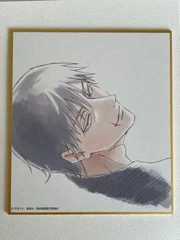 주술회전전 회옥옥절 색지 후시구로 토우지