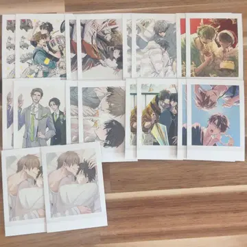 안기고 싶은 남자 1위에 내가 있다 파샤코레 묶음 판매 18점