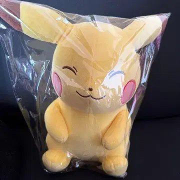 포켓몬스터 빅 봉제 인형 [ Cafe Art ]