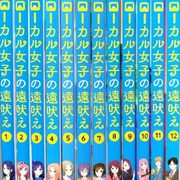 로컬 여자들의 원한 1~12권 세트