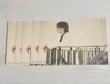 우라시마사카타센 시마 weddiing 특전 카드