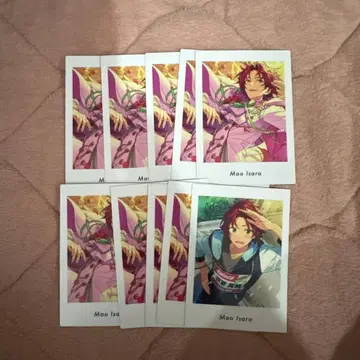 앙스타 파샤츠 vol.6 이사라 마오